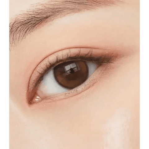 Double Tint Brown Double Tint Brown