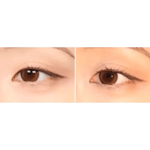 Double Tint Brown Double Tint Brown