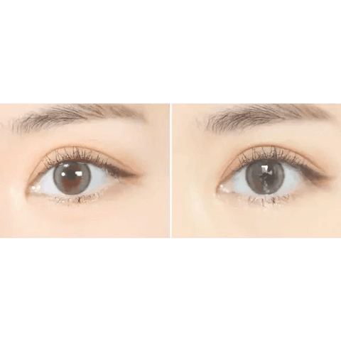 Double Tint Gray Double Tint Gray