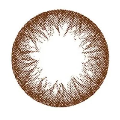 Envy Choco Toric 13.1mm Envy Choco Toric 13.1mm
