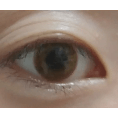 European Eyes Silicone Brown 12.8mm European Eyes Silicone Brown 12.8mm