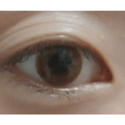 European Eyes Silicone Brown 12.8mm European Eyes Silicone Brown 12.8mm