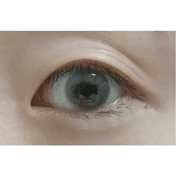 European Eyes Silicone Gray 12.8mm European Eyes Silicone Gray 12.8mm
