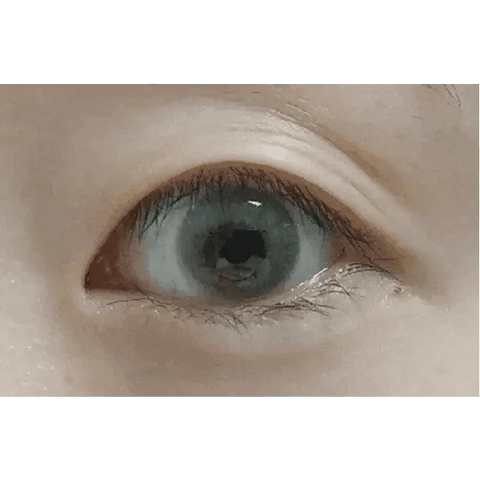 European Eyes Silicone Gray 12.8mm European Eyes Silicone Gray 12.8mm