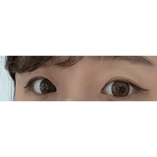 Olens Ever Shine 1Day Brown (20p) colored contact lens, 13.5mm graphic diameter, Daily wear