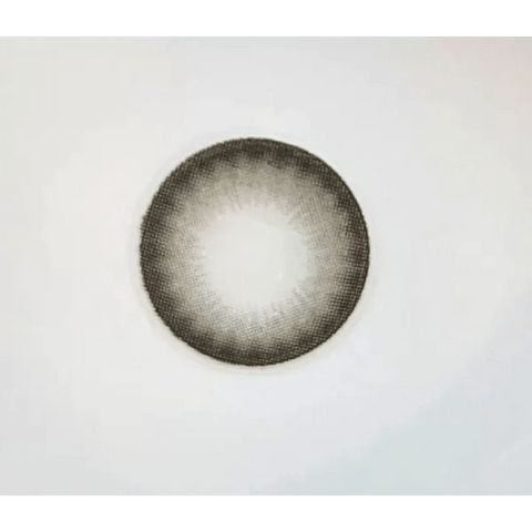 Ever Shine 1Day Gray (20p) Ever Shine 1Day Gray (20p)