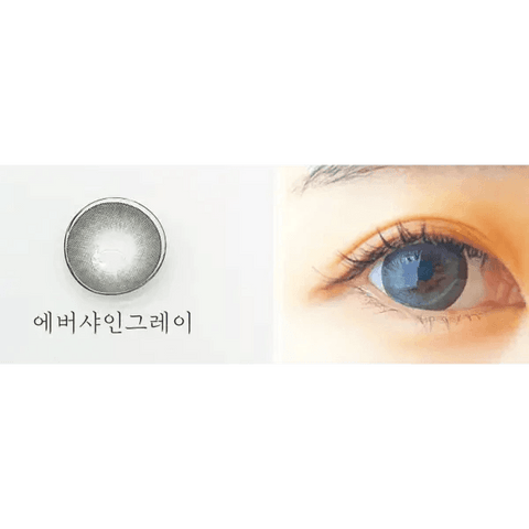 Ever Shine 1Day Gray (20p) Ever Shine 1Day Gray (20p)