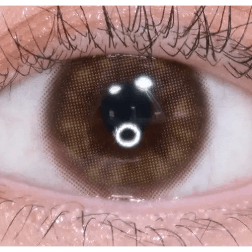 Olens EyeTeen Brown colored contact lens, 12.8mm graphic diameter, Monthly wear