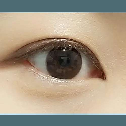 Eyevelyn Brown 13.6mm