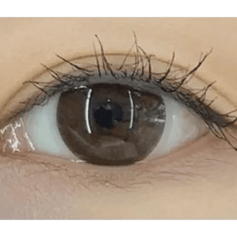 Eyevelyn S Choco 13mm Eyevelyn S Choco 13mm
