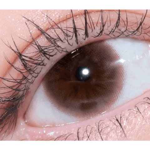 Falling Brown 13.5mm Falling Brown 13.5mm