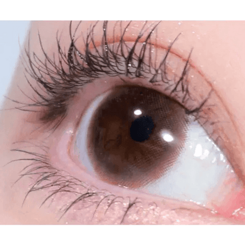 Falling Brown 13.5mm Falling Brown 13.5mm