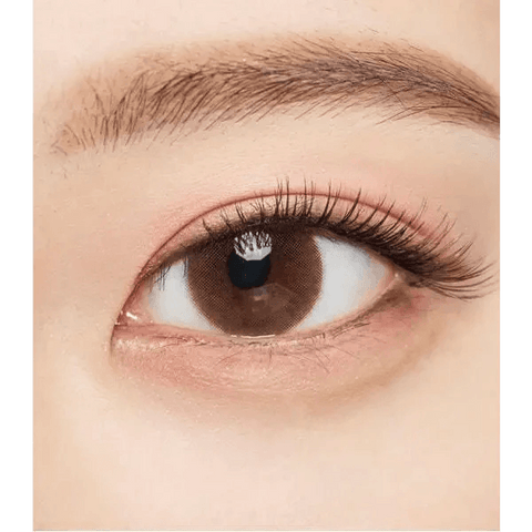 Falling Brown 13.5mm Falling Brown 13.5mm