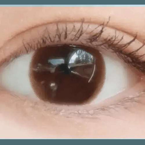 From Choco 13.2mm From Choco 13.2mm