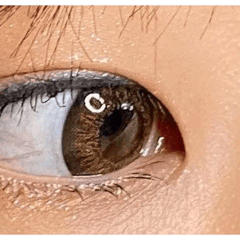 Glam Madonna Brown 13.4mm Glam Madonna Brown 13.4mm