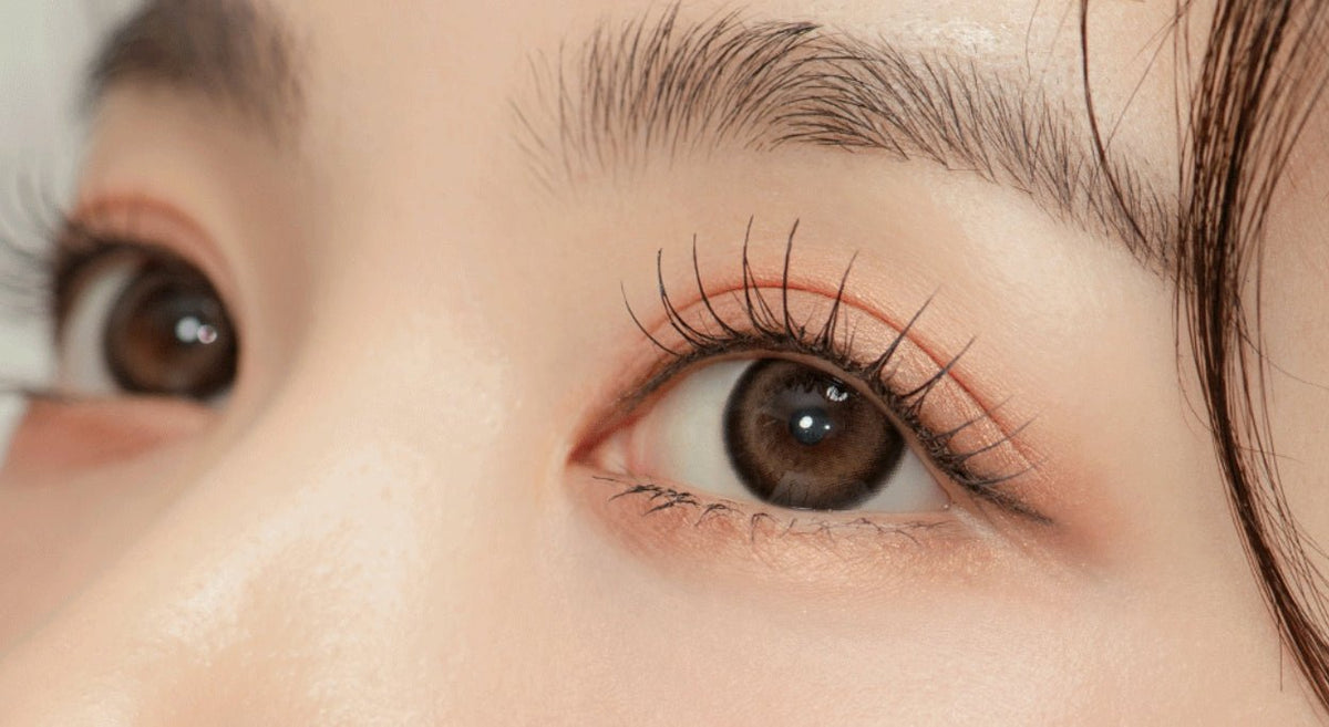 LensTown Glammic Cocoa Choco colored contact lens, 13.3mm graphic diameter, Monthly wear