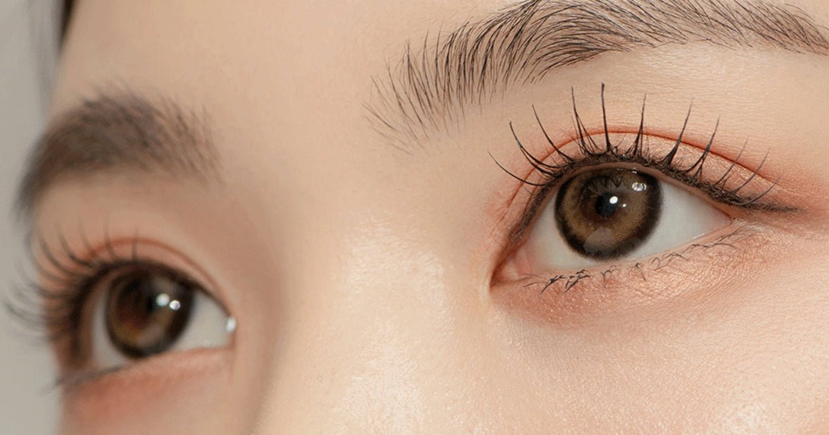 LensTown Glammic Soft Brown colored contact lens, 13.3mm graphic diameter, Monthly wear