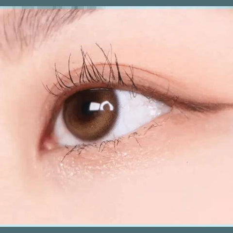 Glowy Natural 1Day Latte Brown (20P) Glowy Natural 1Day Latte Brown (20P)