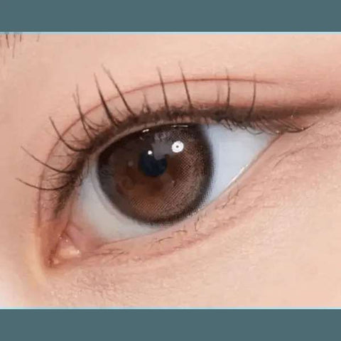 Glowy Natural 1Day Mocha Brown (20P) Glowy Natural 1Day Mocha Brown (20P)