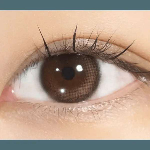 Glowy Natural 1Day Mocha Brown (20P) Glowy Natural 1Day Mocha Brown (20P)