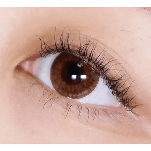 Happyholi Brown 13.2mm Happyholi Brown 13.2mm