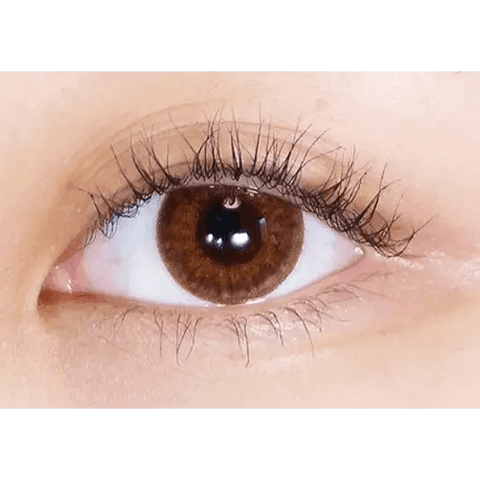 Happyholi Brown 13.2mm Happyholi Brown 13.2mm
