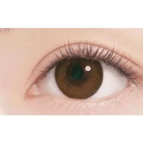 LensTown Hermera Brown — single-eye close-up showing the contact lens appearance