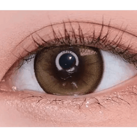 Hermera Brown 13.6mm Hermera Brown 13.6mm