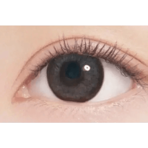 LensTown Hermera Gray colored contact lens, 13.6mm graphic diameter, 3-6 Months wear