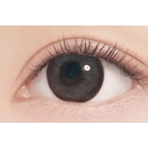 Hermera Gray 13.6mm Hermera Gray 13.6mm