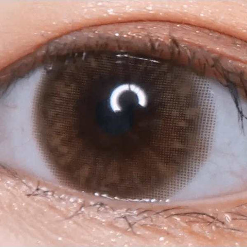 Hively Brown 13.3mm Hively Brown 13.3mm