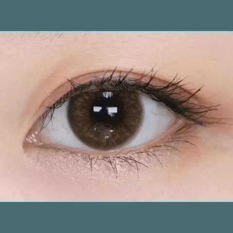 Hively Brown 13.3mm Hively Brown 13.3mm