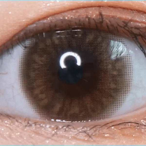 Hively Brown 13.3mm Hively Brown 13.3mm