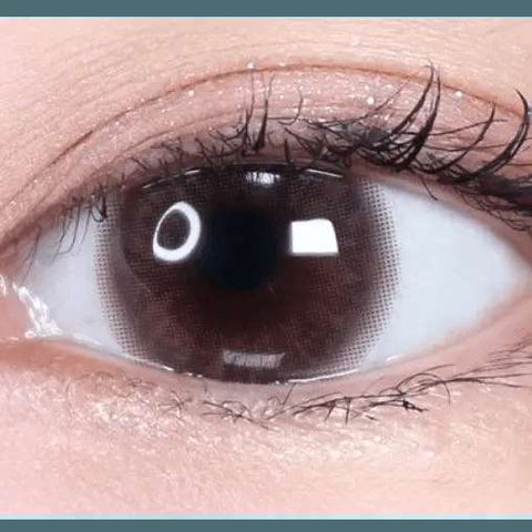 Hively Choco 13.3mm Hively Choco 13.3mm