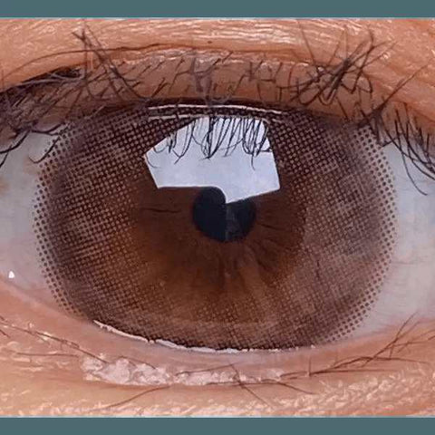 Hively Choco 13.3mm Hively Choco 13.3mm