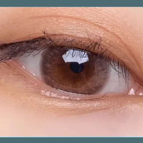 Hively Choco 13.3mm Hively Choco 13.3mm