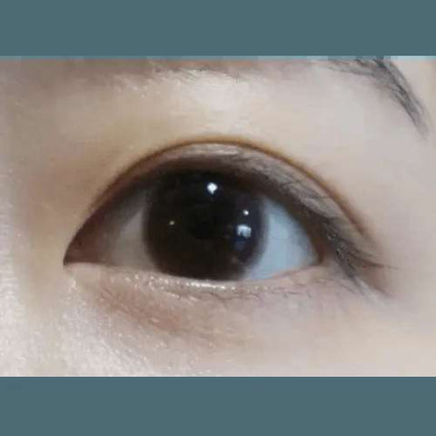 Hively Choco 13.3mm Hively Choco 13.3mm