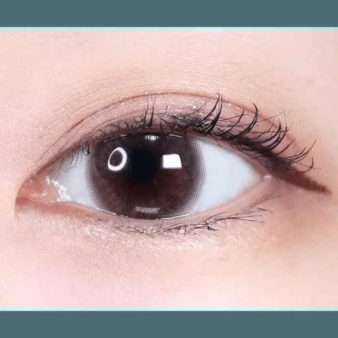 Hively Choco 13.3mm Hively Choco 13.3mm