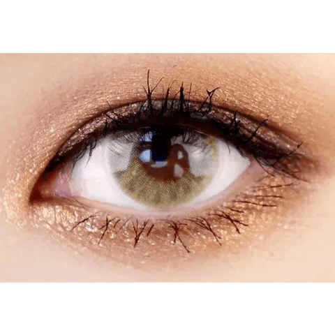 Holdnight Brown 13mm Holdnight Brown 13mm