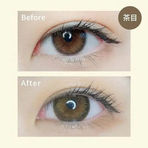 Honey Lip Brown Toric 14.0mm Honey Lip Brown Toric 14.0mm