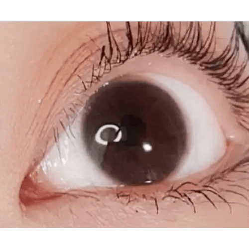 Honey U Choco 12.9mm Honey U Choco 12.9mm