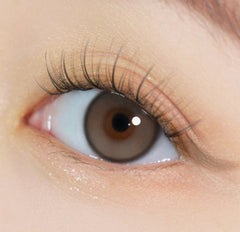 i-DOL Earl Gray 1 Day (10p)