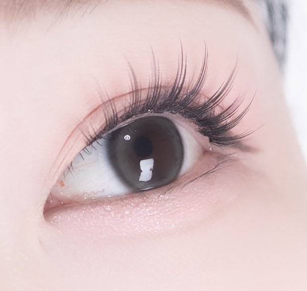 i-DOL Eyeis Essential Gray colored contact lens, 13.0mm graphic diameter, Monthly wear