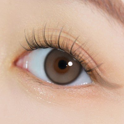 i-DOL Yurial Earl Gray 1 Day (10p) colored contact lens, 13.2mm graphic diameter, Daily wear