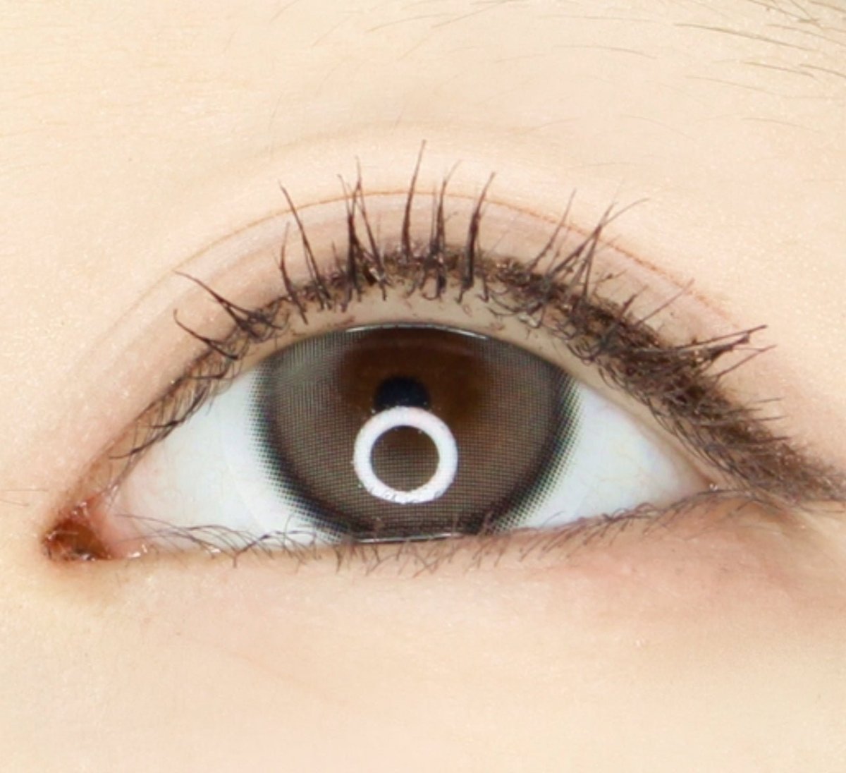 i-DOL Yurial Max Earl Gray colored contact lens, 13.3mm graphic diameter, Monthly wear