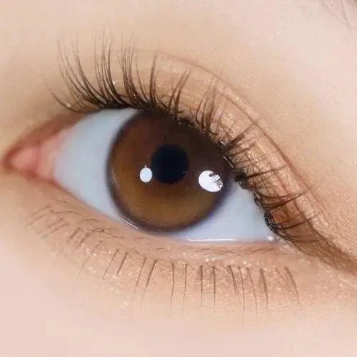 i-DOL Yurial Serum Brown colored contact lens, 12.8mm graphic diameter, Monthly wear