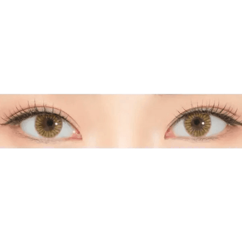 iWWi Ailleen Brown 13.4mm iWWi Ailleen Brown 13.4mm