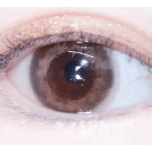 LensRang iWWi Celinay Brown — single-eye close-up showing the contact lens appearance