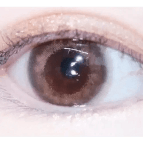 iWWi Celinay Brown 13.6mm iWWi Celinay Brown 13.6mm