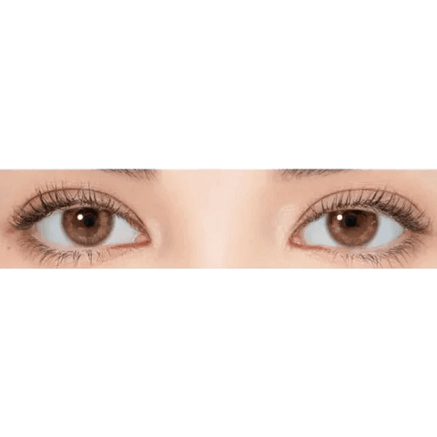 iWWi Celinay Brown 13.6mm iWWi Celinay Brown 13.6mm